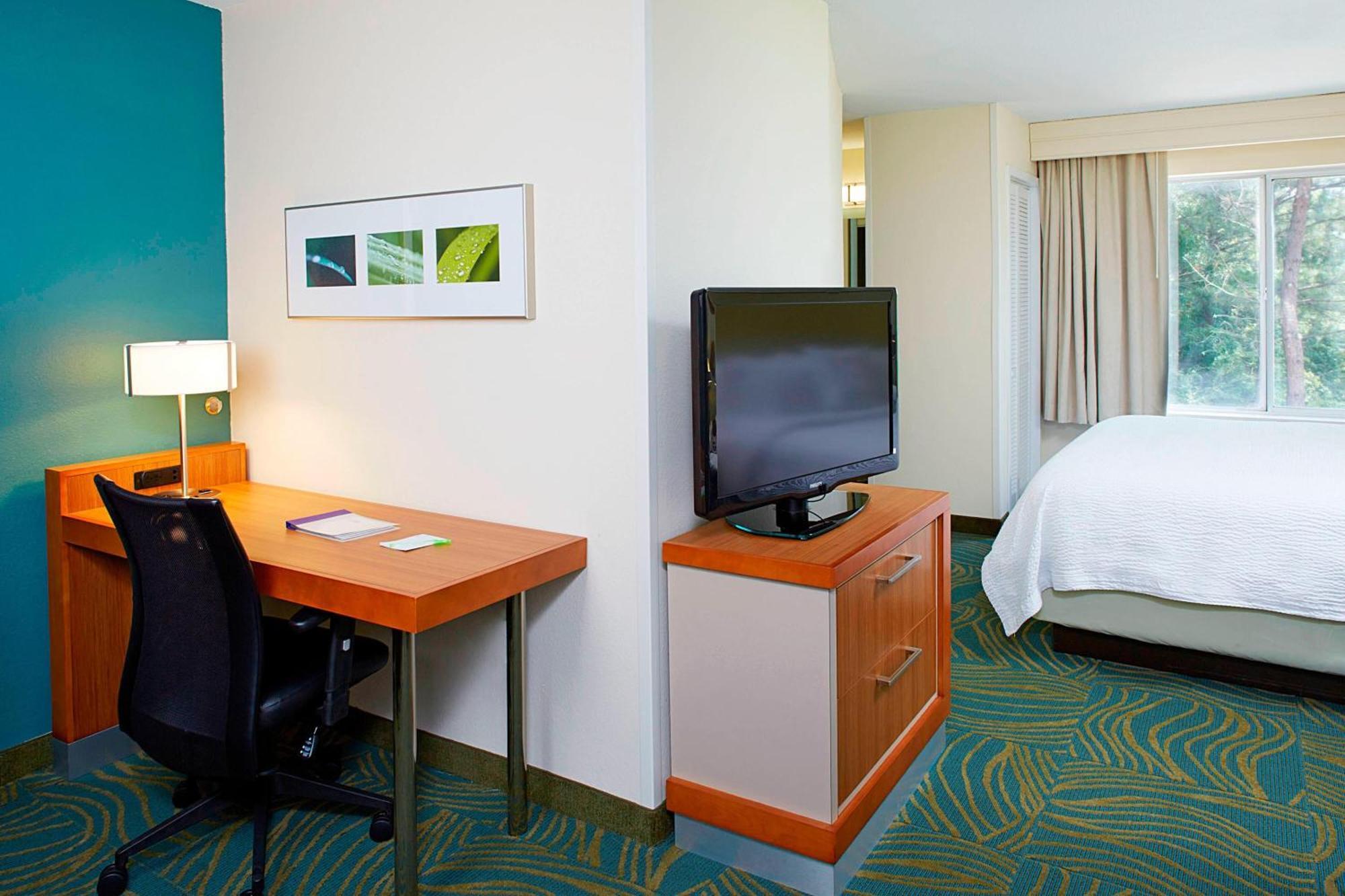 Springhill Suites By Marriott Atlanta Six Flags Lithia Springs Dış mekan fotoğraf