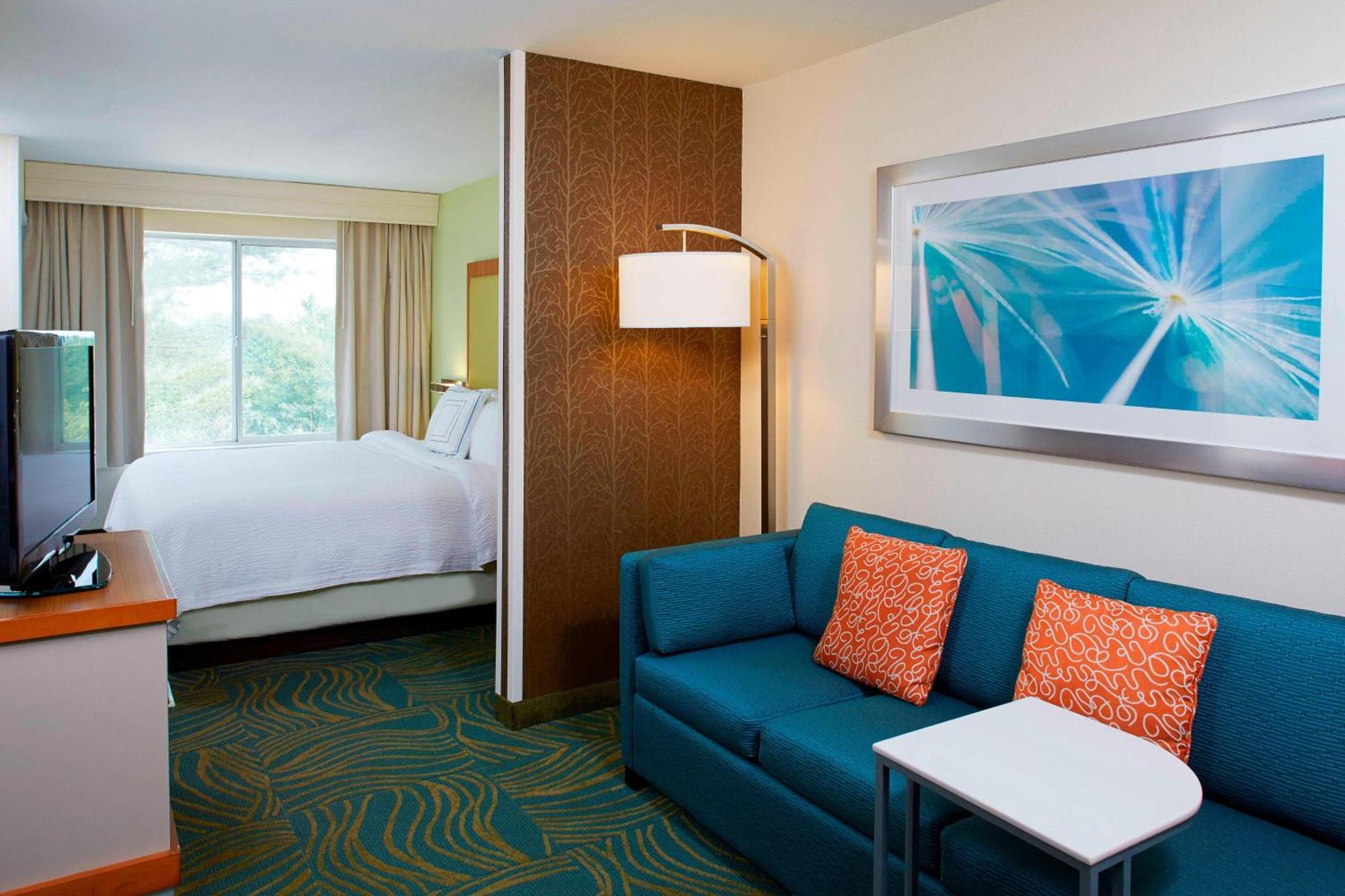 Springhill Suites By Marriott Atlanta Six Flags Lithia Springs Dış mekan fotoğraf