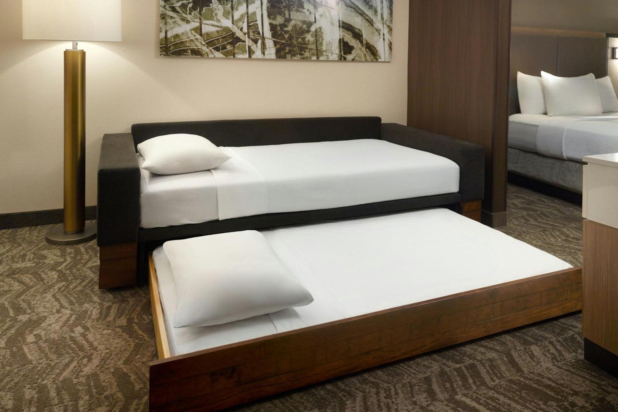 Springhill Suites By Marriott Atlanta Six Flags Lithia Springs Dış mekan fotoğraf